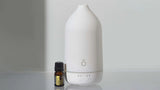 Air Humidifier Aromatherapy Essential Oil Diffuser