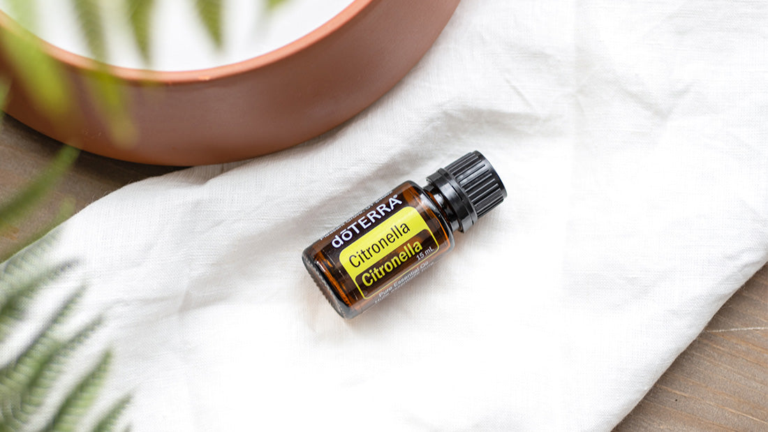 Citronella Oil