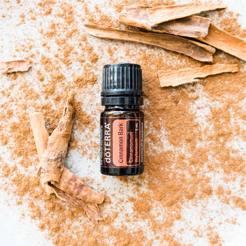 Cinnamon Bark Oil
