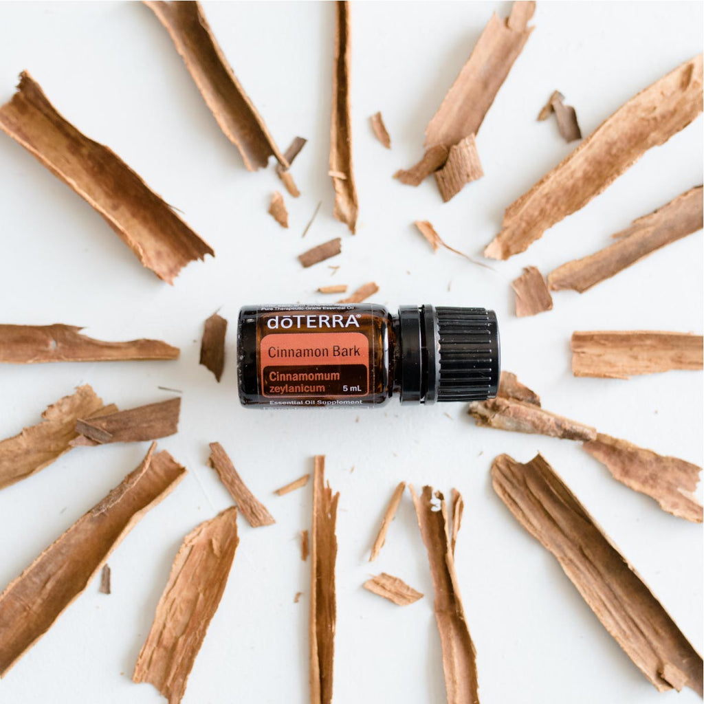 Cinnamon Bark Oil