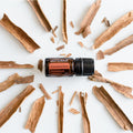 Cinnamon Bark Oil