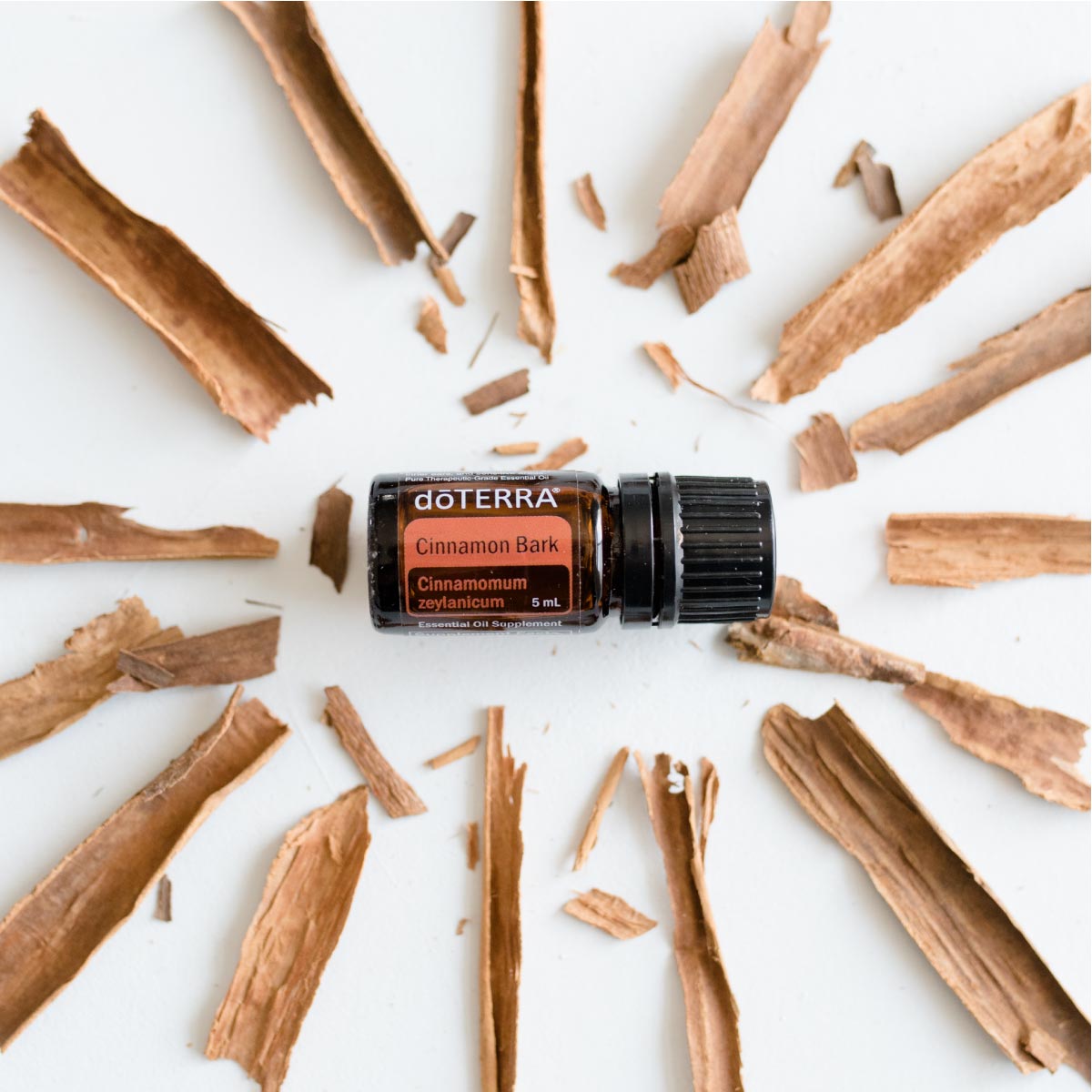 Cinnamon Bark Oil