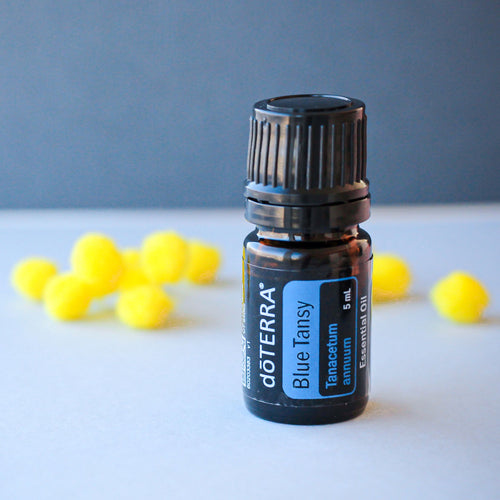 Blue Tansy Oil