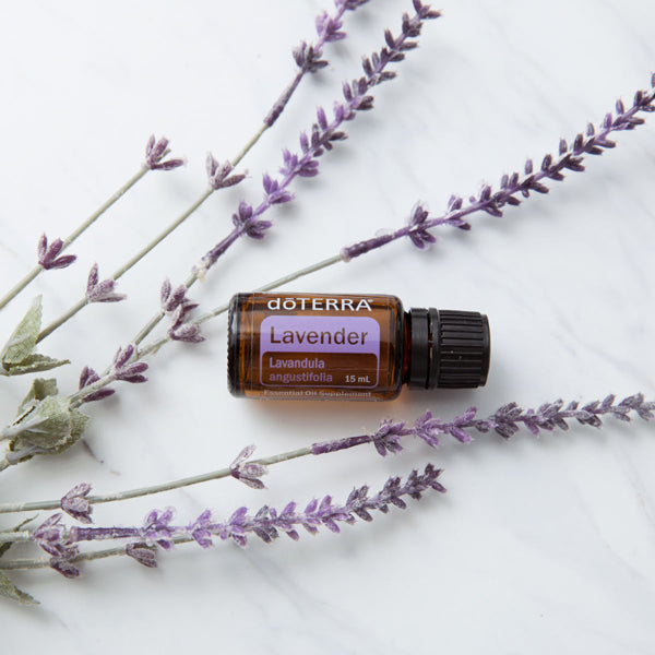 Lavender Oil