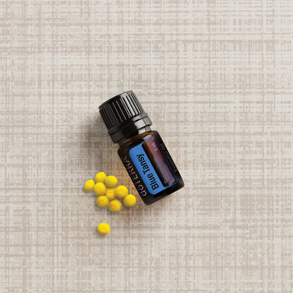 Blue Tansy Oil