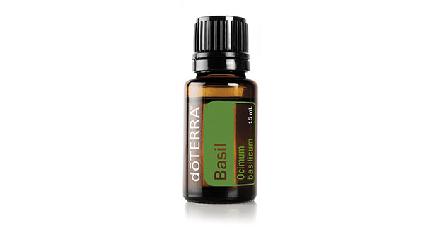 Basil Oil