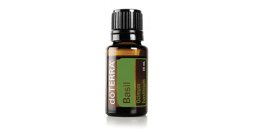 Basil Oil
