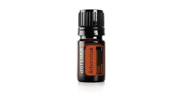 Arborvitae.
