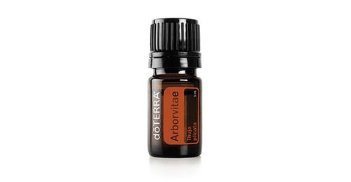 Arborvitae.