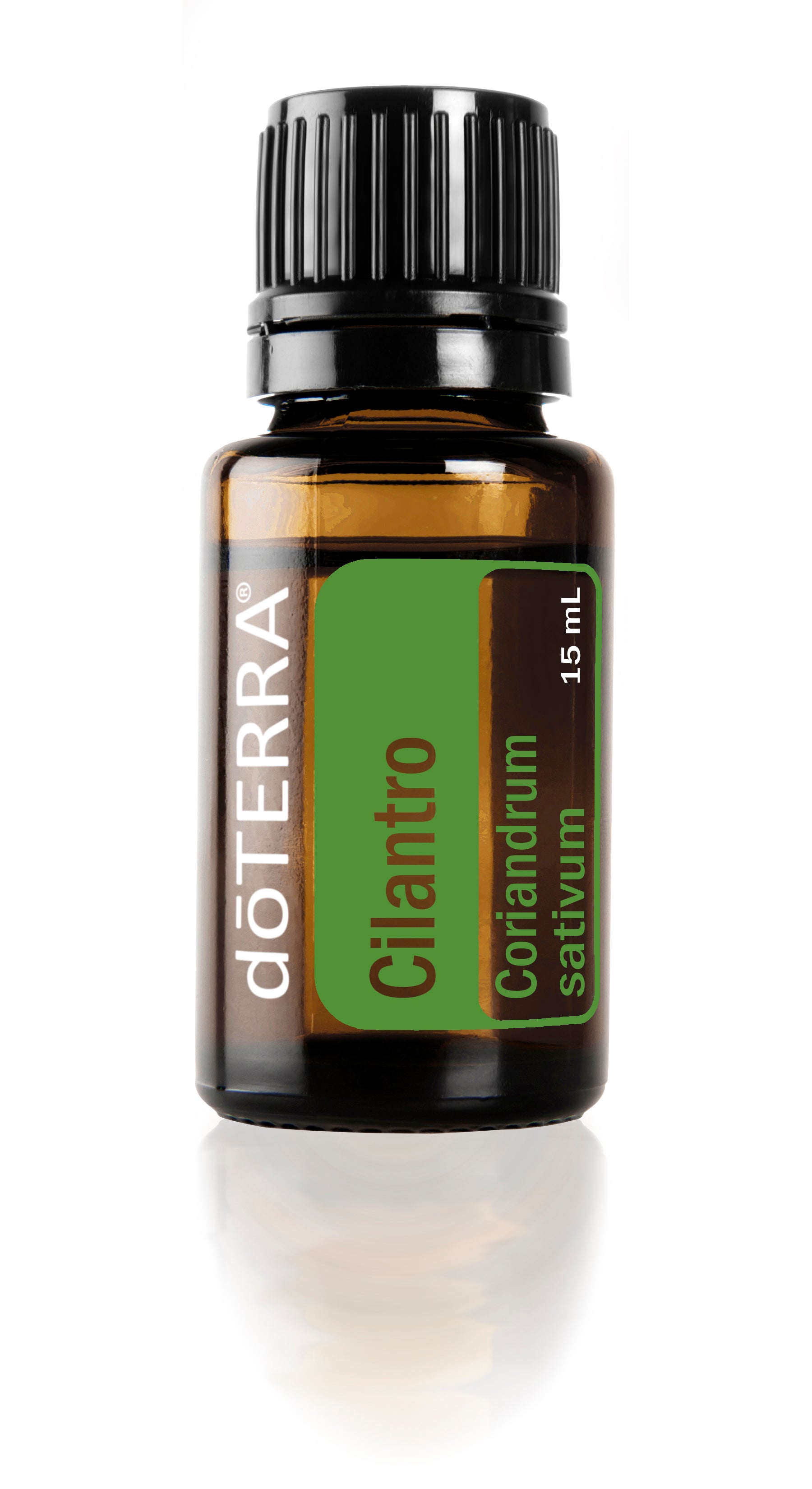 Cilantro Oil