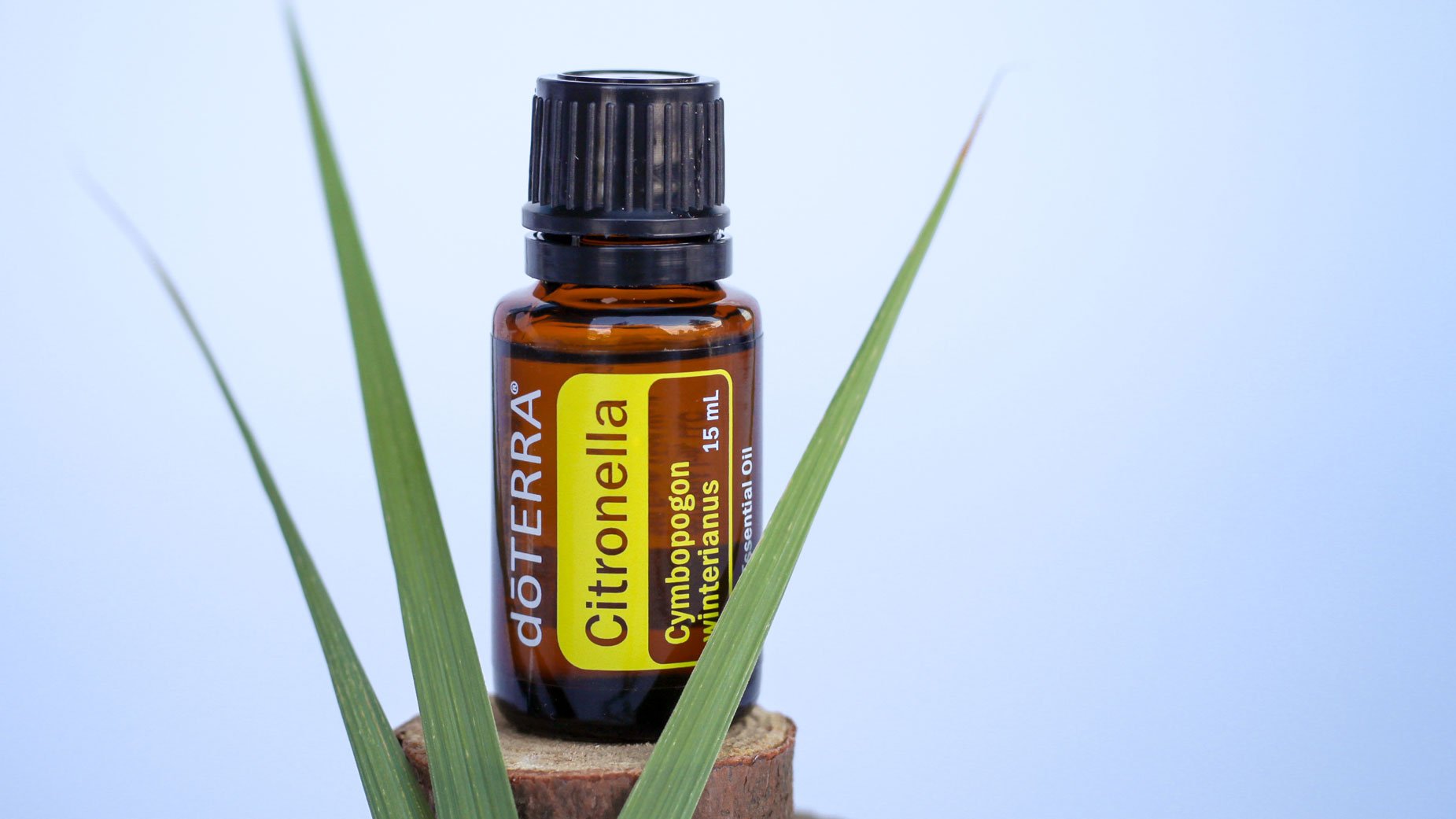 Citronella Oil