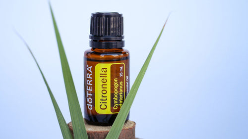 Citronella Oil